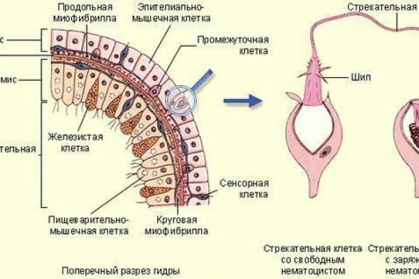 Kraken на русском