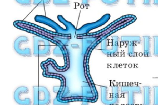 Как правильно покупать на блэкспрут